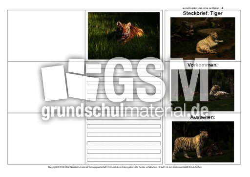 Flip-Flap-Tiger-3.pdf